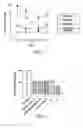 Fig. 06 - Histogranin-like peptides, processes for their preparation and uses thereof