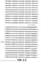 Fig. 08 - Regulatory sequences capable of conferring expression of a heterologous DNA sequence in endothelial cells and uses thereof