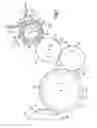 Fig. 02 - Transfer unit for transferring elongated articles