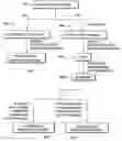 Fig. 01 - Method for the production of a blood component composition