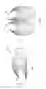 Fig. 03 - Hand-held hinged device for manipulating objects