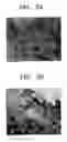 Fig. 04 - Field emission device (FED)