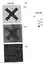 Fig. 07 - Image projection lighting device