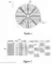 Fig. 03 - Systems using extended servo patterns with variable multi-pass servowriting and self-servowriting