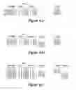 Fig. 04 - Systems using extended servo patterns with variable multi-pass servowriting and self-servowriting