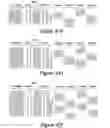 Fig. 05 - Systems using extended servo patterns with variable multi-pass servowriting and self-servowriting