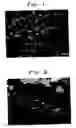 Fig. 02 - Binary rhenium alloys
