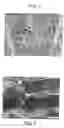 Fig. 02 - Heat resistant super alloy and its use