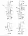 Fig. 02 - Pins for spotting nucleic acids