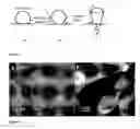 Fig. 02 - Tubular carbon nano/micro structures and method of making same