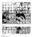 Fig. 07 - Tubular carbon nano/micro structures and method of making same