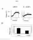 Fig. 02 - Composition comprising an extract of liriopsis tuber for protecting brain cells and improving memory