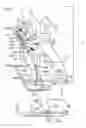 Fig. 06 - Stance guide and method of use