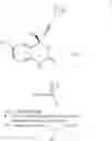 Fig. 303 - Method and compositions for identifying anti-HIV therapeutic compounds