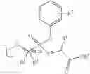 Fig. 43 - Method and compositions for identifying anti-HIV therapeutic compounds
