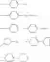 Fig. 06 - Fluorescent entity comprising a fluorophore covalently attached to at least one oligonucleotide and comprising at least one functional group, and uses thereof