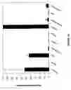 Fig. 10 - Diagnosing predisposition to fat deposition and associated conditions