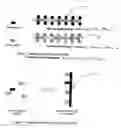 Fig. 02 - Sequence tag microarray and method for detection of multiple proteins through DNA methods