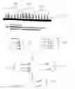 Fig. 04 - Sequence tag microarray and method for detection of multiple proteins through DNA methods