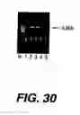 Fig. 32 - Polymerase enhancing factor (PEF) extracts, PEF protein complexes, isolated PEF protein, and methods for purifying and identifying