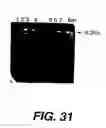 Fig. 33 - Polymerase enhancing factor (PEF) extracts, PEF protein complexes, isolated PEF protein, and methods for purifying and identifying