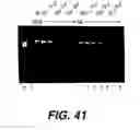Fig. 43 - Polymerase enhancing factor (PEF) extracts, PEF protein complexes, isolated PEF protein, and methods for purifying and identifying