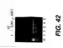 Fig. 44 - Polymerase enhancing factor (PEF) extracts, PEF protein complexes, isolated PEF protein, and methods for purifying and identifying