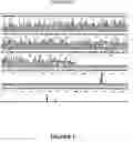 Fig. 02 - Multiply-primed amplification of nucleic acid sequences
