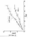 Fig. 05 - Compositions and methods for inducing and regulating bone formation