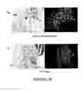 Fig. 07 - Compositions and methods for inducing and regulating bone formation