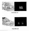Fig. 09 - Compositions and methods for inducing and regulating bone formation