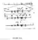 Fig. 20 - Compositions and methods for inducing and regulating bone formation