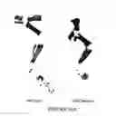 Fig. 25 - Compositions and methods for inducing and regulating bone formation