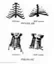 Fig. 26 - Compositions and methods for inducing and regulating bone formation