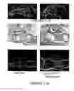 Fig. 28 - Compositions and methods for inducing and regulating bone formation