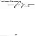 Fig. 03 - Assay method for group transfer reactions