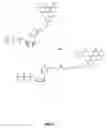 Fig. 05 - Assay method for group transfer reactions