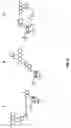 Fig. 19 - Assay method for group transfer reactions