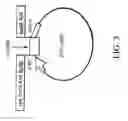 Fig. 08 - α-MSH related compounds and methods of use