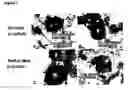 Fig. 02 - Methods of inducing differentiation of stem cells into a specific cell lineage