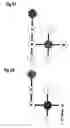 Fig. 16 - Shifting device for the mechanical coupling-free transmission of shift commands to the automatic transmission of a motor vehicle