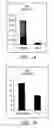 Fig. 02 - Catalytic filter for removing soot particulates from diesel engine exhaust and method of preparing the same