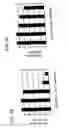 Fig. 07 - Tissue volume reduction