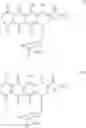 Fig. 33 - Method for the synthesis of anthracycline-peptide conjugates