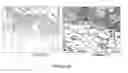 Fig. 15 - Compositions and methods for topical diagnostic and therapeutic transport