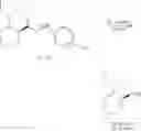 Fig. 1069 - Hemiasterlin derivatives and uses thereof