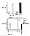 Fig. 03 - Nucleic acids encoding antagonists of interleukin-15