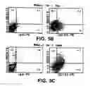 Fig. 06 - Nucleic acids encoding antagonists of interleukin-15