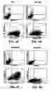 Fig. 07 - Nucleic acids encoding antagonists of interleukin-15