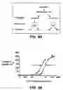 Fig. 09 - Nucleic acids encoding antagonists of interleukin-15